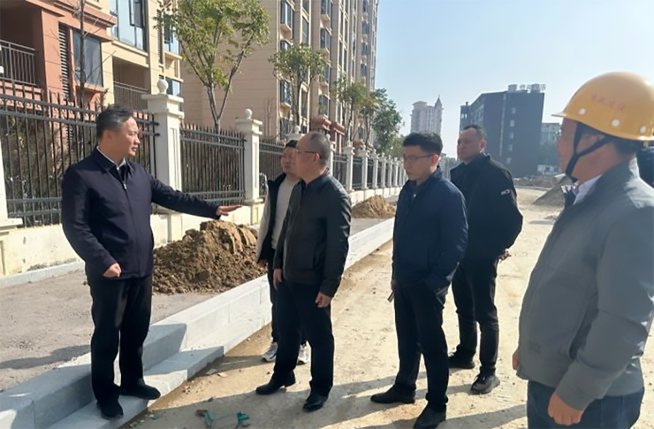 青山湖區(qū)黨委副書記、區(qū)長楊育星到利民路項目調(diào)研